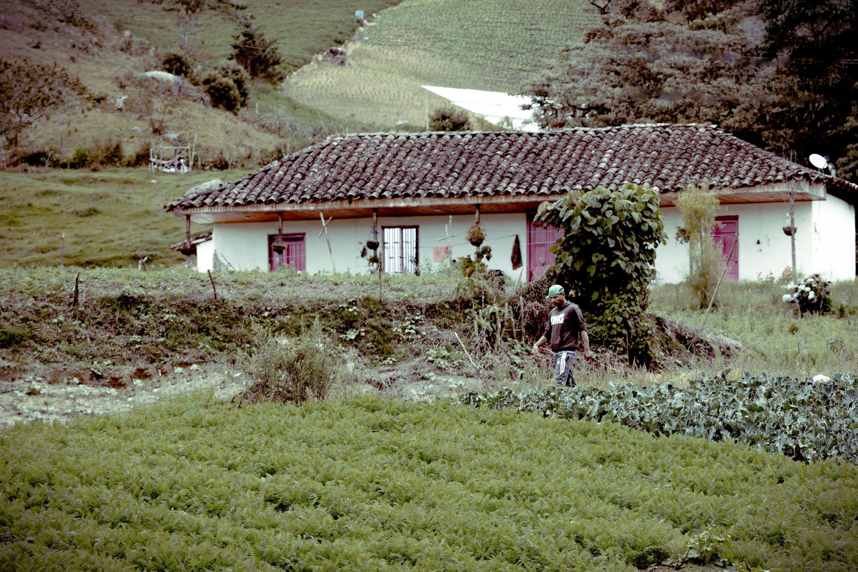 Montañi marinilla